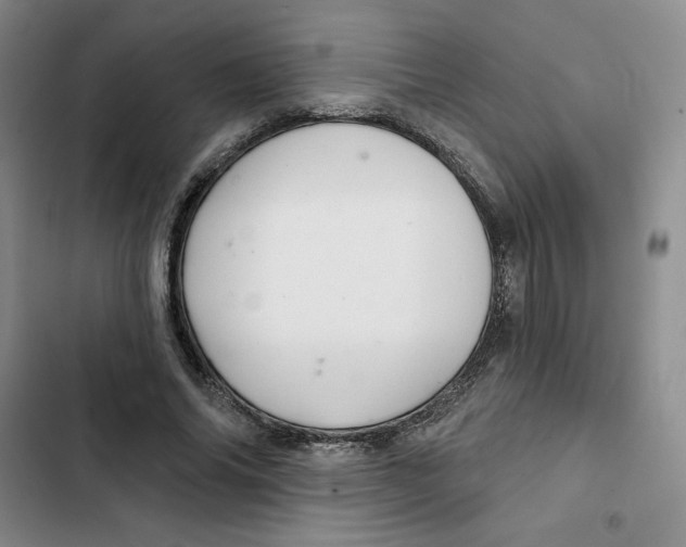 X0000102280686200808221304