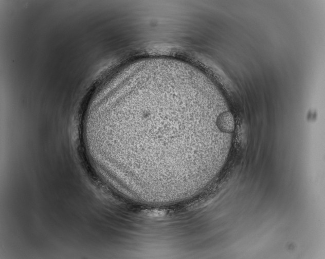 X0000102280687200808221304