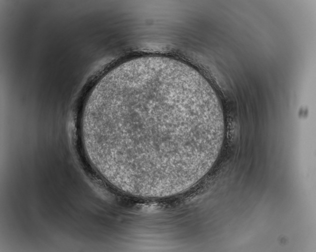 X0000102280688200808221304