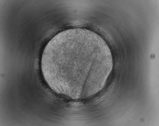X0000102280689200808221304