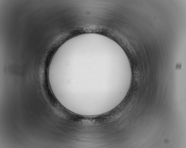 X0000102280690200808221304