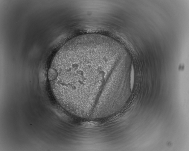 X0000102280691200808221304