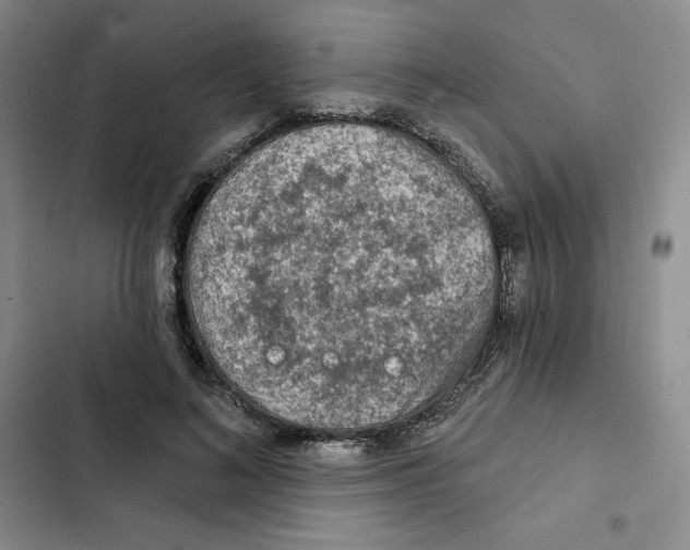 X0000102280692200808221304