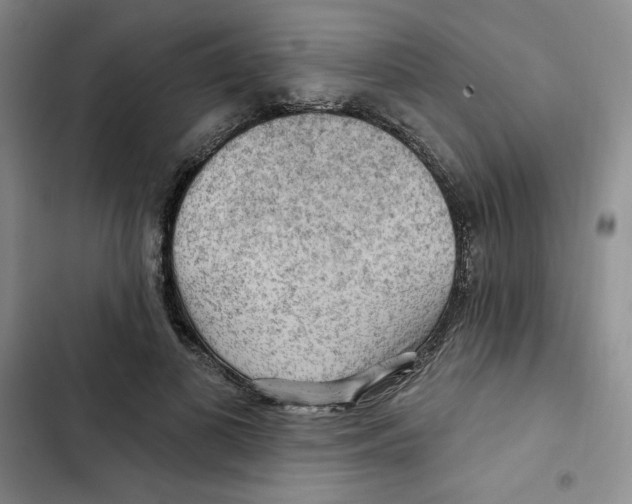 X0000102280693200808221304