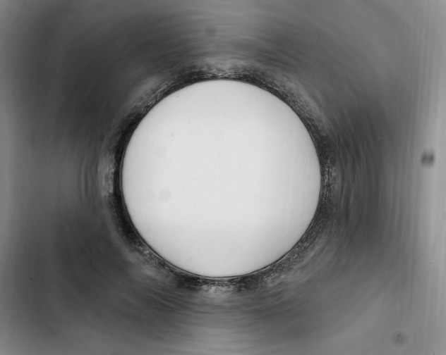 X0000102280694200808221304