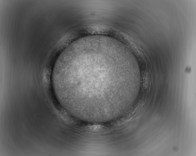 X0000102280695200808221304