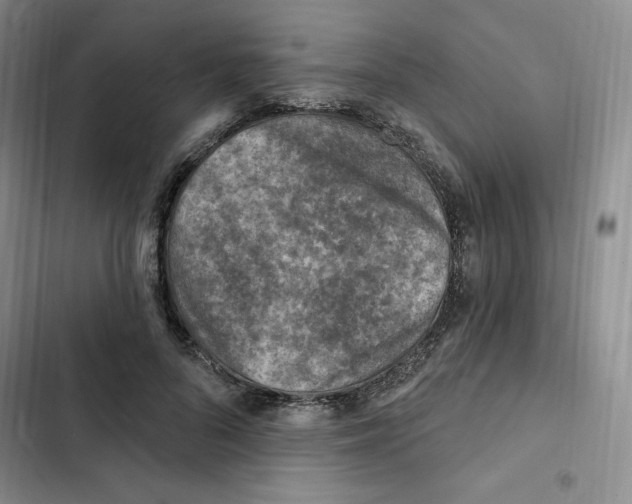X0000102280696200808221304