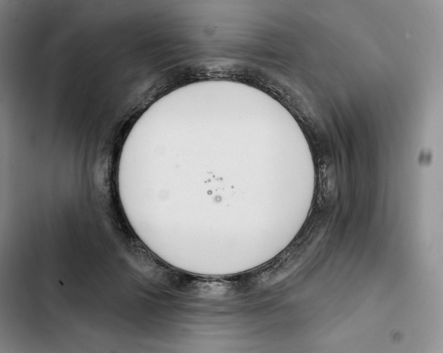 X0000102280698200808221304