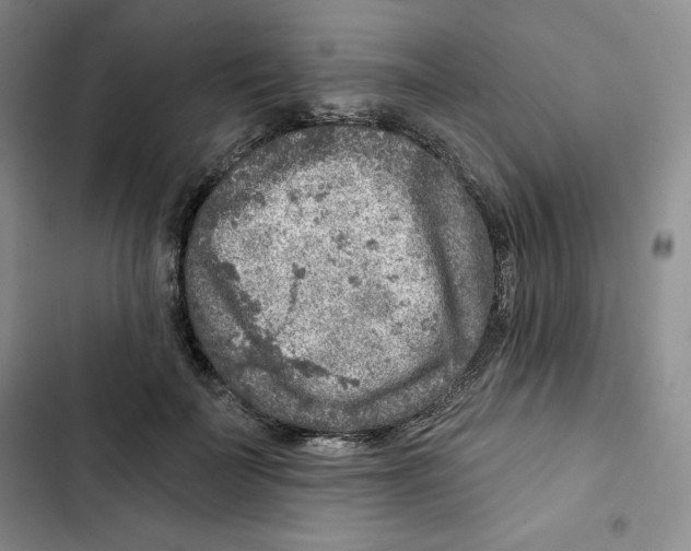 X0000102280699200808221304