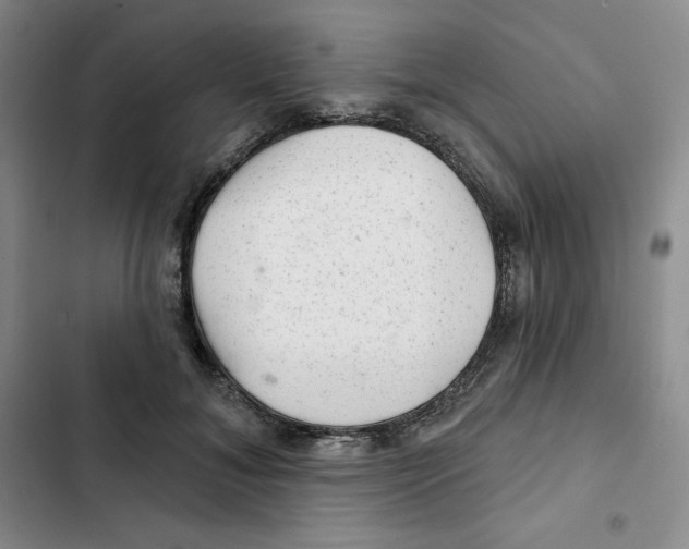 X0000102280700200808221304