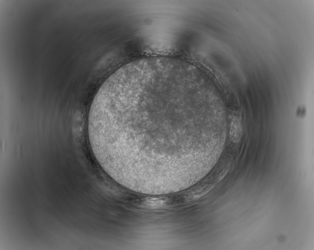 X0000102280701200808221304