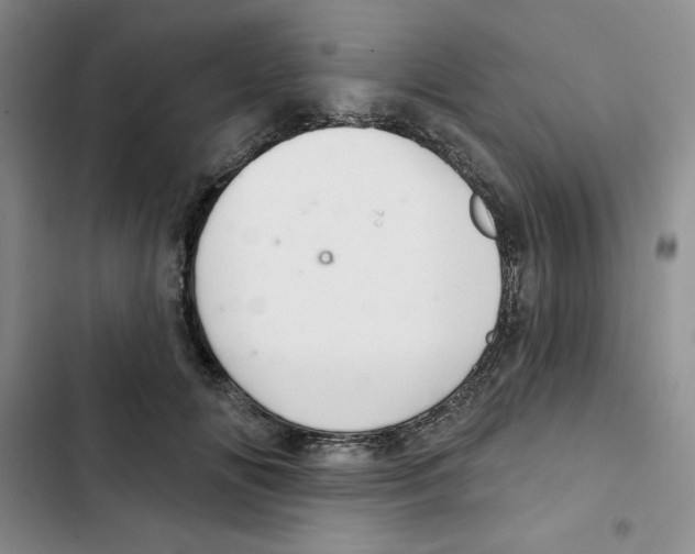 X0000102280702200808221304