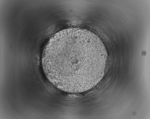 X0000102280703200808221304