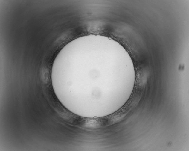 X0000102280705200808221304