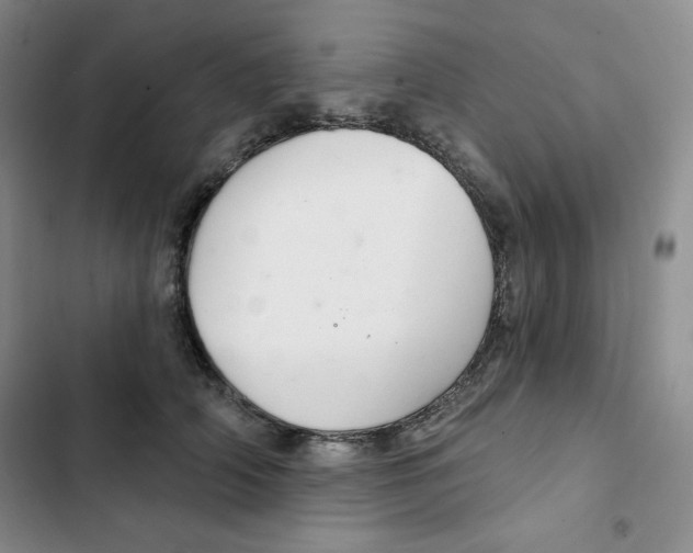 X0000102280706200808221304