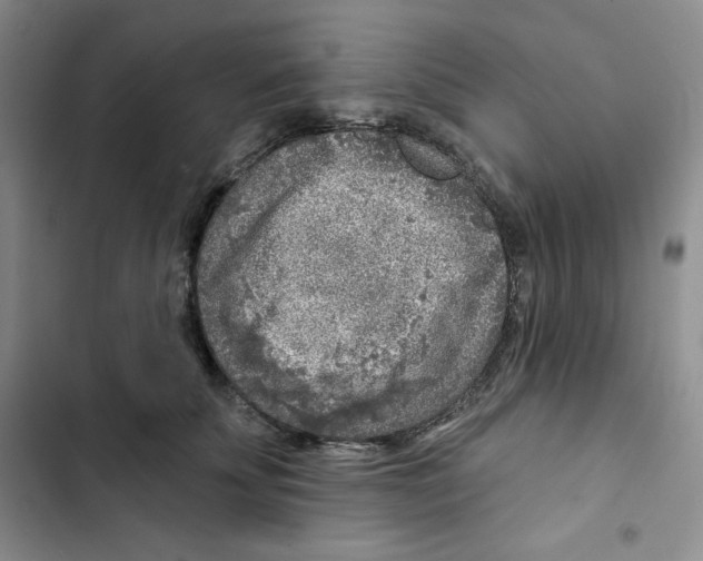 X0000102280707200808221304