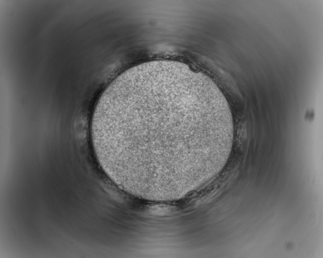 X0000102280708200808221304