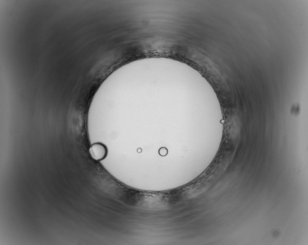X0000102280709200808221304