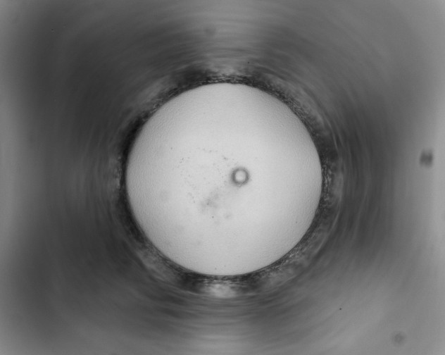 X0000102280710200808221304