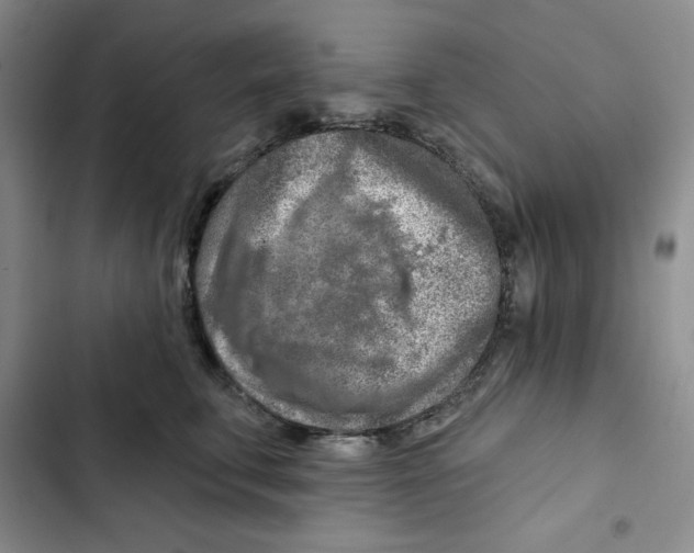 X0000102280711200808221304