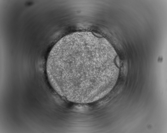 X0000102280712200808221304