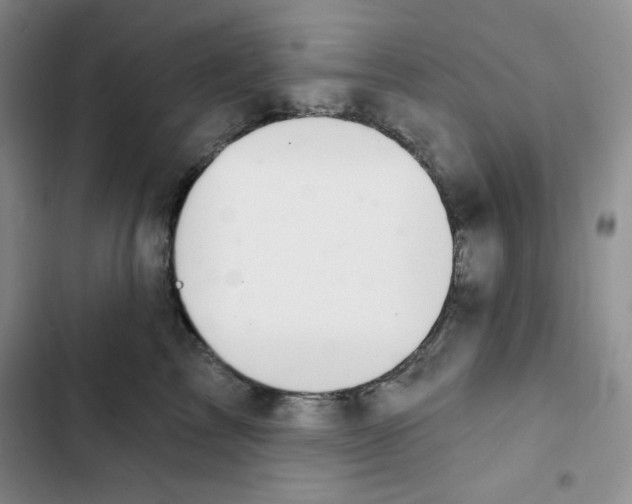 X0000102280713200808221304