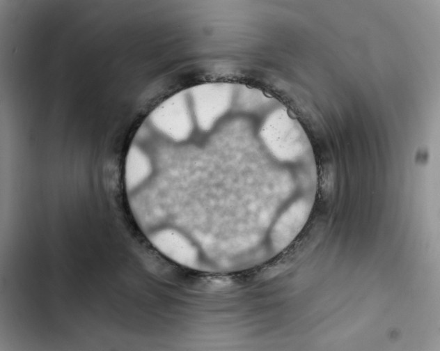 X0000102280715200808221304