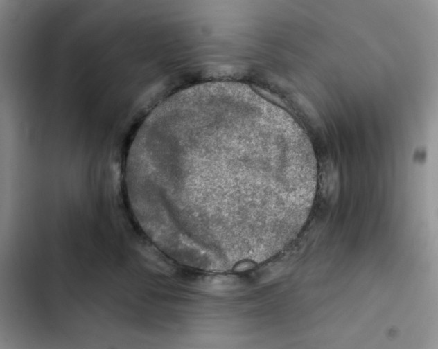 X0000102280716200808221304