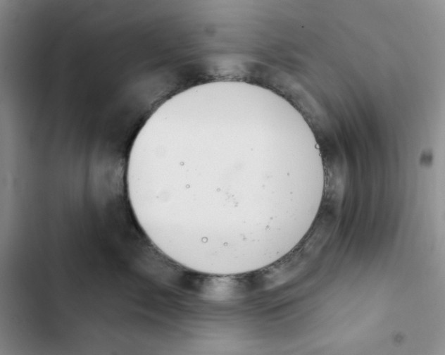 X0000102280717200808221304