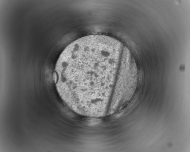 X0000102280719200808221304