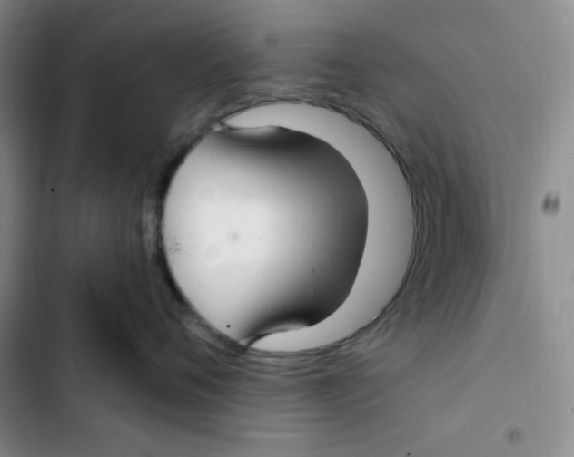 X0000102280720200808221304