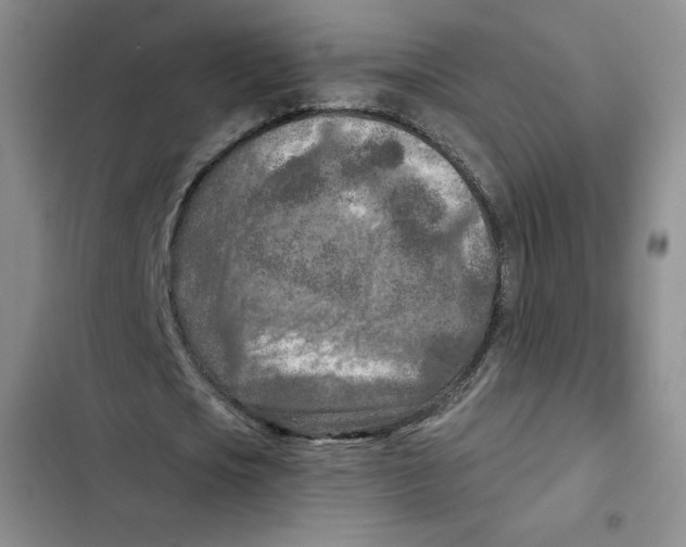 X0000102280721200808221303