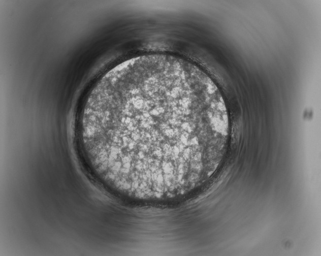 X0000102280722200808221303