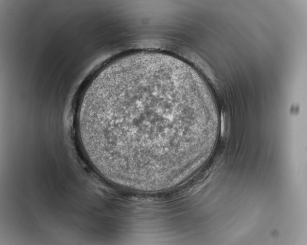 X0000102280723200808221303
