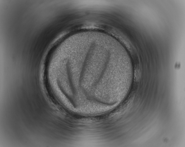 X0000102280724200808221303