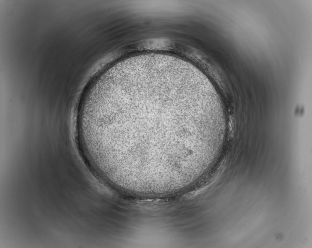 X0000102280725200808221303