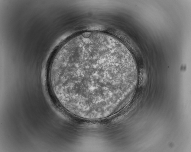 X0000102280726200808221303