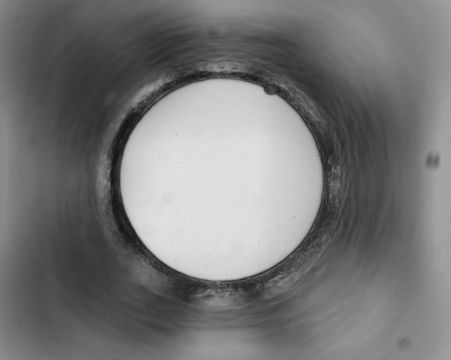 X0000102280727200808221303