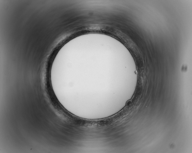 X0000102280728200808221303
