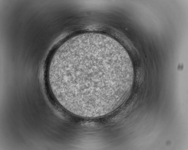 X0000102280730200808221303