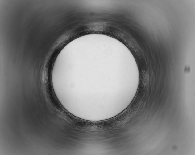 X0000102280731200808221303