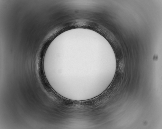 X0000102280732200808221303