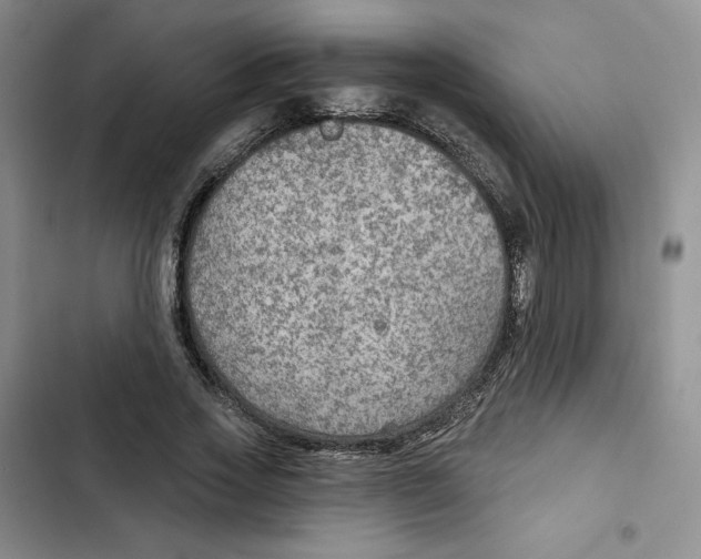 X0000102280733200808221303