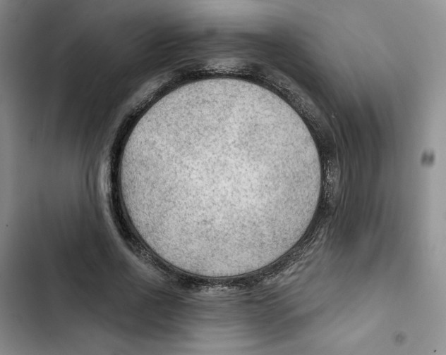 X0000102280734200808221303