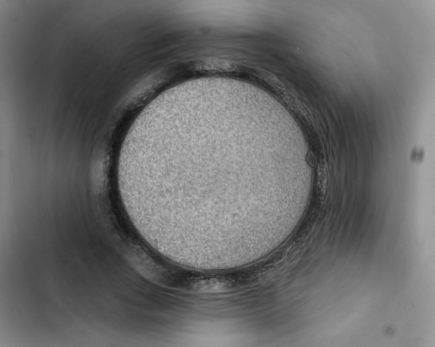 X0000102280735200808221303