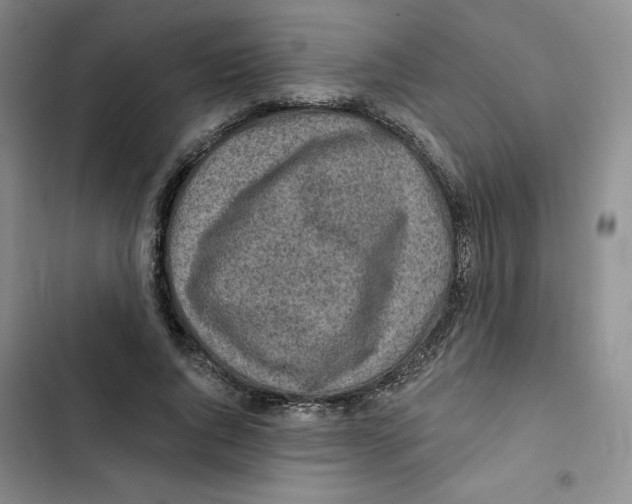 X0000102280736200808221303