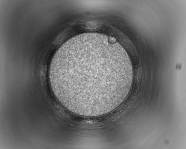 X0000102280737200808221303
