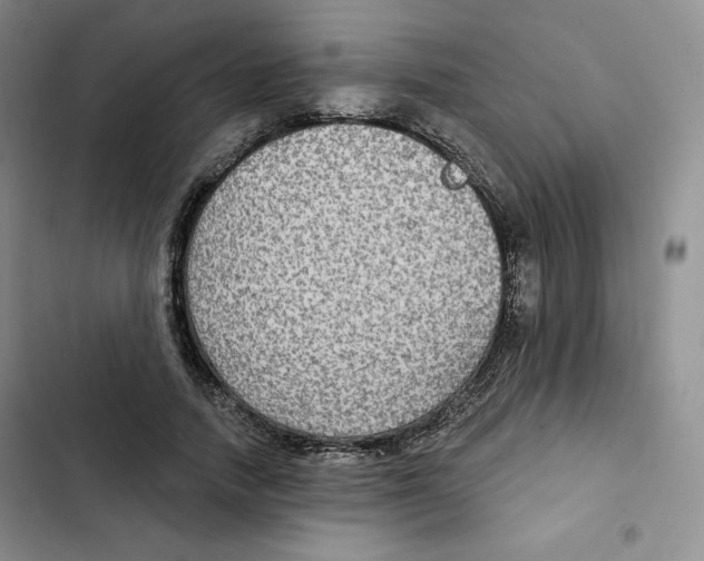 X0000102280738200808221303
