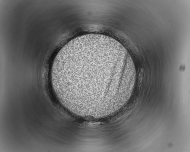 X0000102280739200808221303