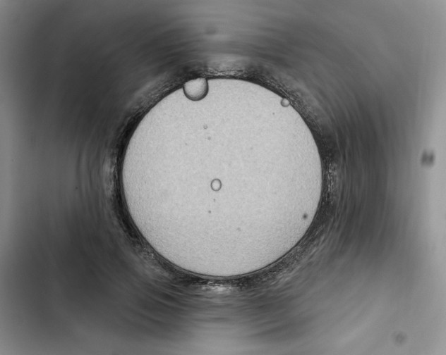 X0000102280741200808221303